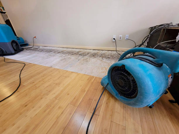 Professional Structural Drying technician working in Watson, LA